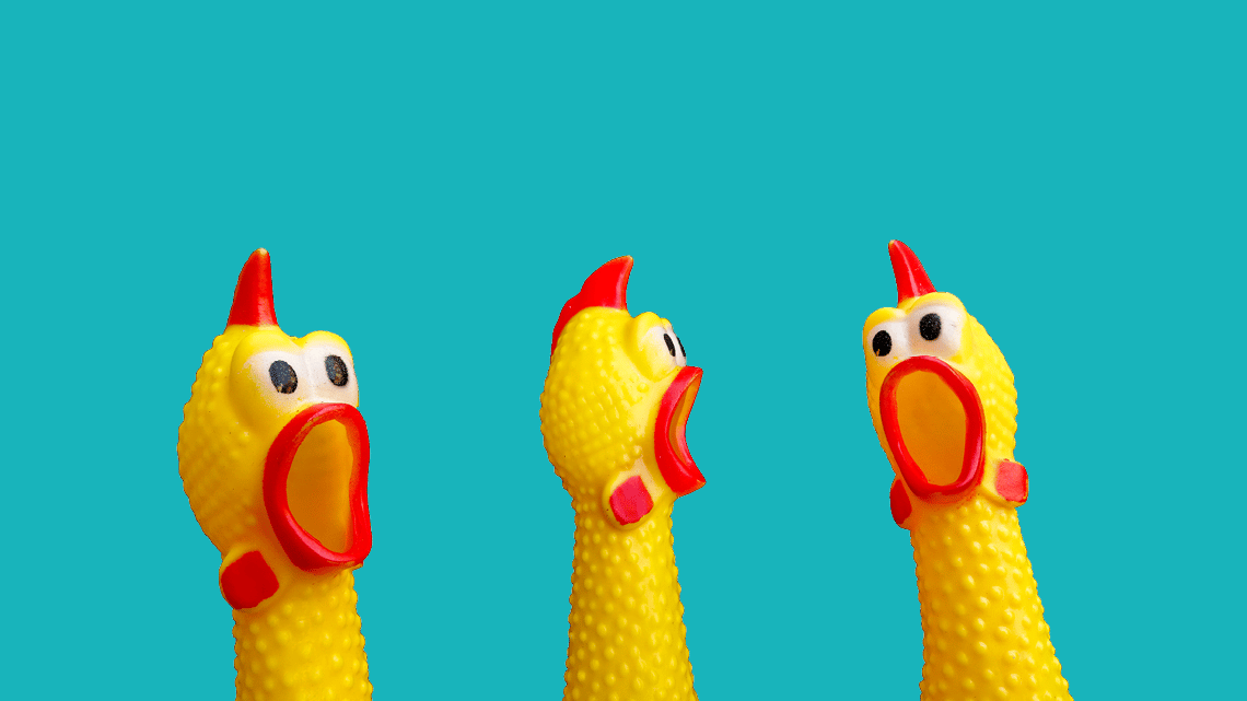 three plastic chicken heads that look shocked