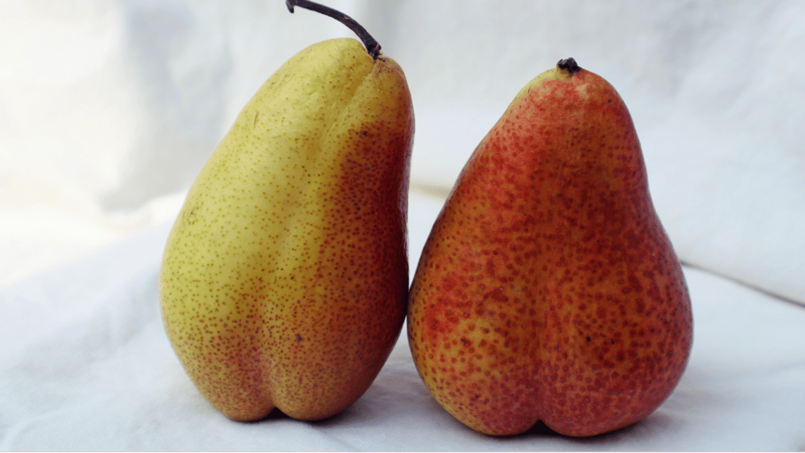two suggestive pears leaning against each other