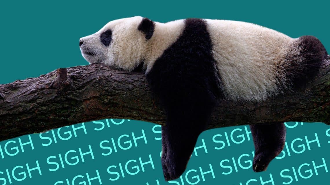 Panda lying on a tree branch with words sign in the background