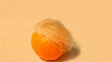 Orange with orange hair